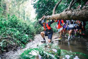 BIB: 
                            <button type="button" onclick="openModal(25466559)" class="btn btn-primary btn-sm float-right btn-popup" data-toggle="modal" data-target=".modal-high-quality">
                        <i class="fas fa-shopping-cart"></i> Add to Cart
                    </button>
                                            <button type="button" onclick="isThisMe(25466559, true)" class="btn btn-success btn-sm float-right btn-popup btn-isme hidden" data-toggle="tooltip" data-placement="bottom" title="นี่คือรูปของคุณใช่ไหม คลิกที่นี่เพื่อเอาเข้าอัลบั้ม">
                        <i class="fas fa-plus"></i> Add to album
                    </button>
                    <button type="button" onclick="isThisMe(25466559, false)" class="btn btn-warning btn-sm float-right btn-popup btn-isnotme hidden">
                        <i class="fas fa-ban"></i> Remove from album
                    </button>